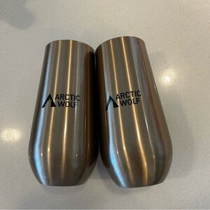 Set of 2 - Insulated Champagne Glasses